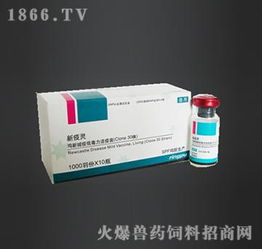 預防雞新城疫用什么藥