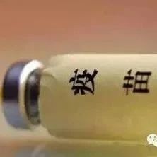 海利生物:加大對非洲豬瘟疫苗產品的研發力度