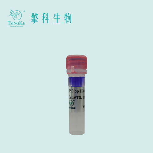核酸電泳凝膠 價格 采購 供應商信息