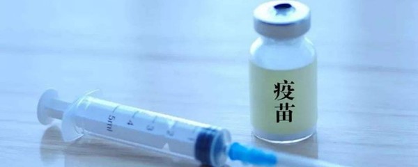 非洲豬瘟有疫苗嗎 非洲豬瘟能治了嗎
