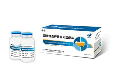 苗-實生毛竹苗/楠竹苗采購平臺求購產(chǎn)品詳情