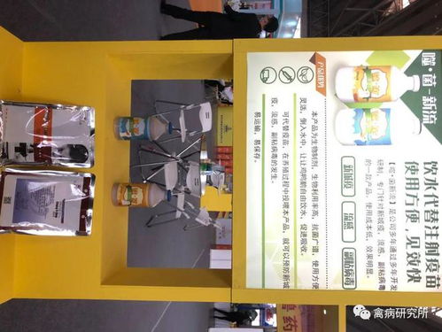 大型肉雞廠打疫苗,如何做到省時(shí)省力,無(wú)應(yīng)激