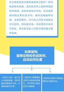 疫苗科普26 一圖讀懂 接種長春長生公司狂犬病疫苗續種補種方案