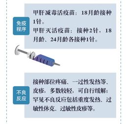安全用藥月丨預防甲肝 乙肝和戊肝,接種疫苗很重要 一圖讀懂肝炎疫苗