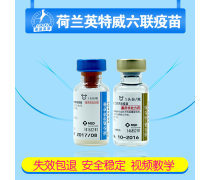 英特威六聯疫苗產品信息