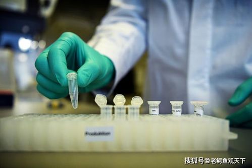默克爾和德國制藥企業之爭 德國藥企不希望新冠疫苗是公共產品