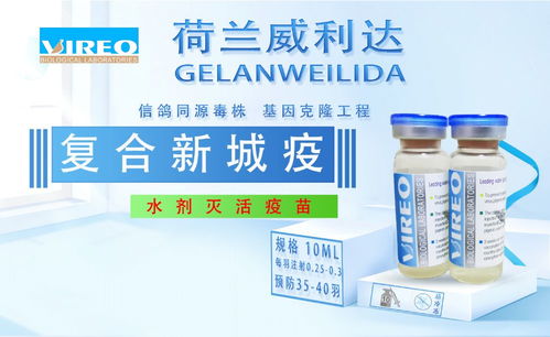 威利達(dá)鴿復(fù)合新城疫 pc nd 水質(zhì)不活化疫苗產(chǎn)品展示