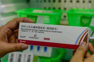 @濰坊女性 四價(jià)宮頸癌疫苗可以打啦每針價(jià)格833元