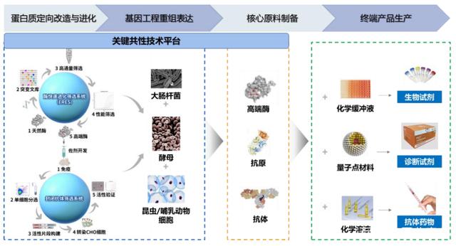 進(jìn)軍生物藥領(lǐng)域!南京諾唯贊ipo過(guò)會(huì),將上科創(chuàng)板