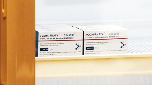 尋找 更好 的新冠疫苗