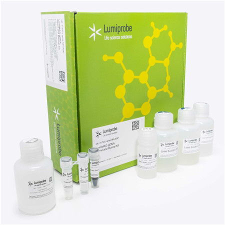 lumiprobe代理商艾美捷 lumiprobe lumimag基因組dna血液和口腔試劑盒