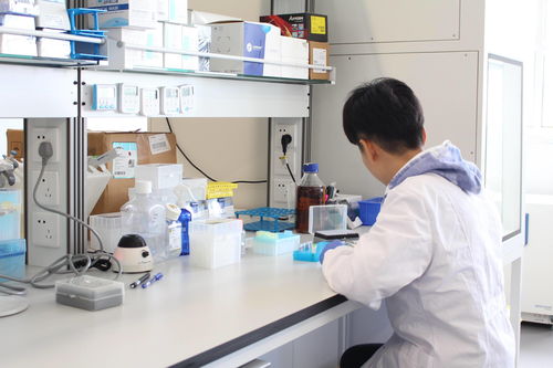 瞄準自身免疫與代謝類疾病臨床用藥空白, 和度生物 開發(fā)基因工程細菌活體藥物