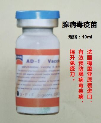 腺病毒疫苗產品展示