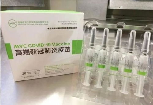 打完 高端 的蔡英文連 過境 美國的機會都沒了